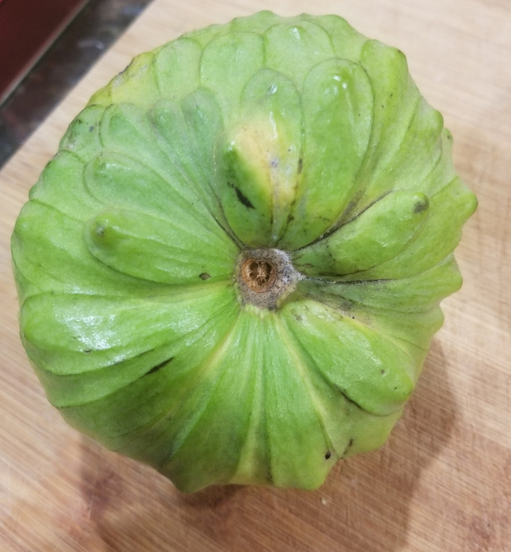 Screenshot_20211103-093927_Gallery