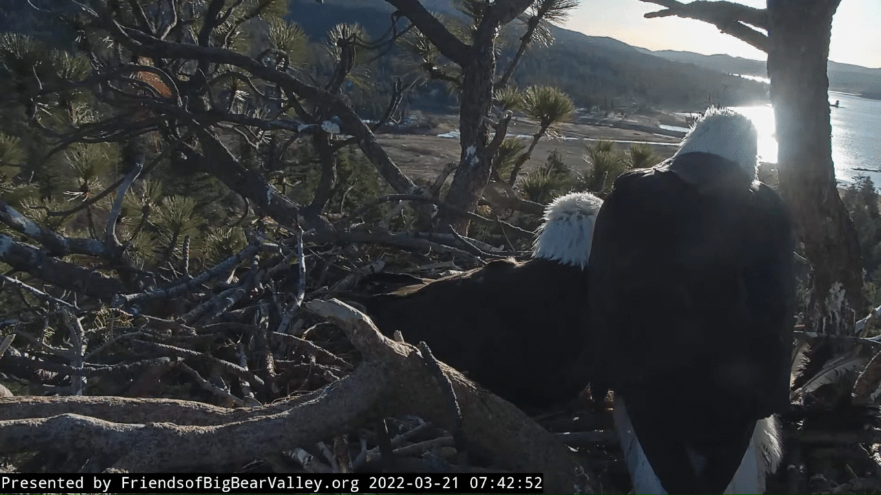 Webp.net-gifmaker (4)