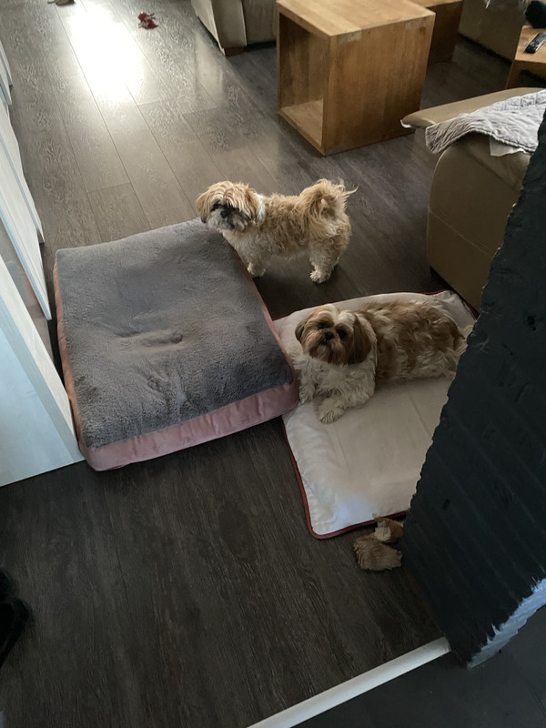 99F397D8-5EE5-46FA-A6C2-1D22817F39F5