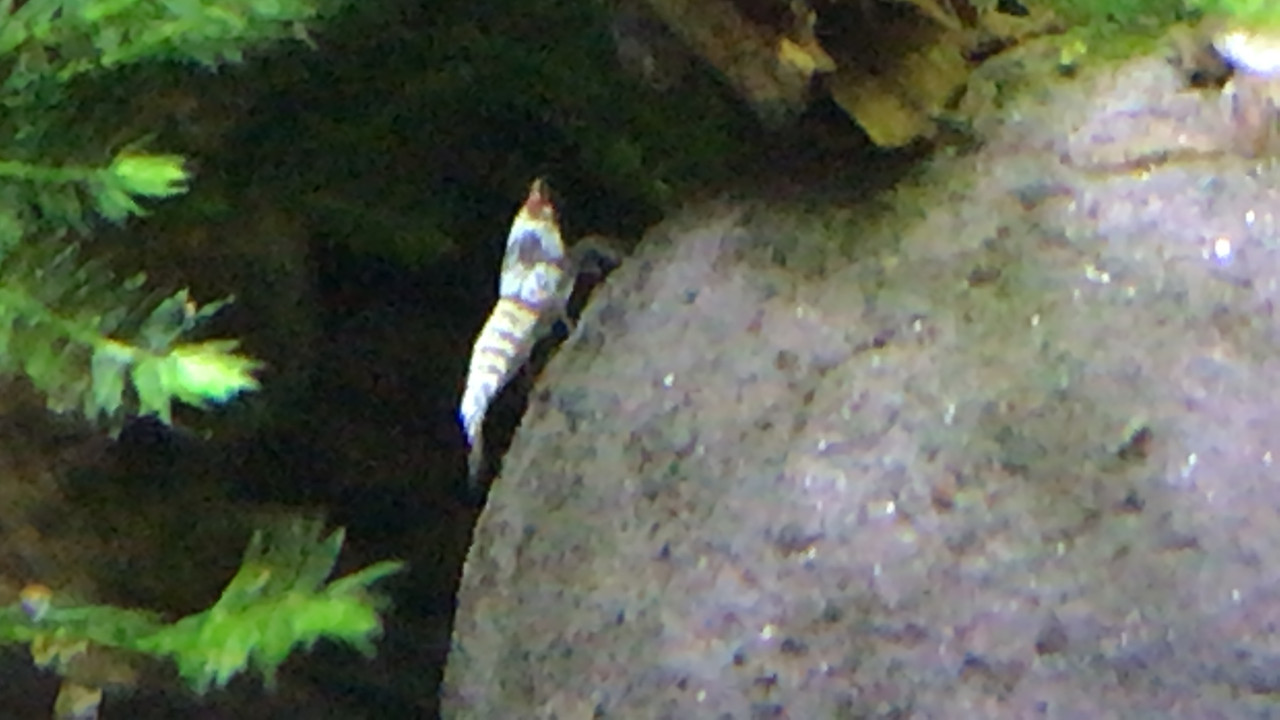 623D2303-089C-4CB7-8A5E-3F22BDC0FA40