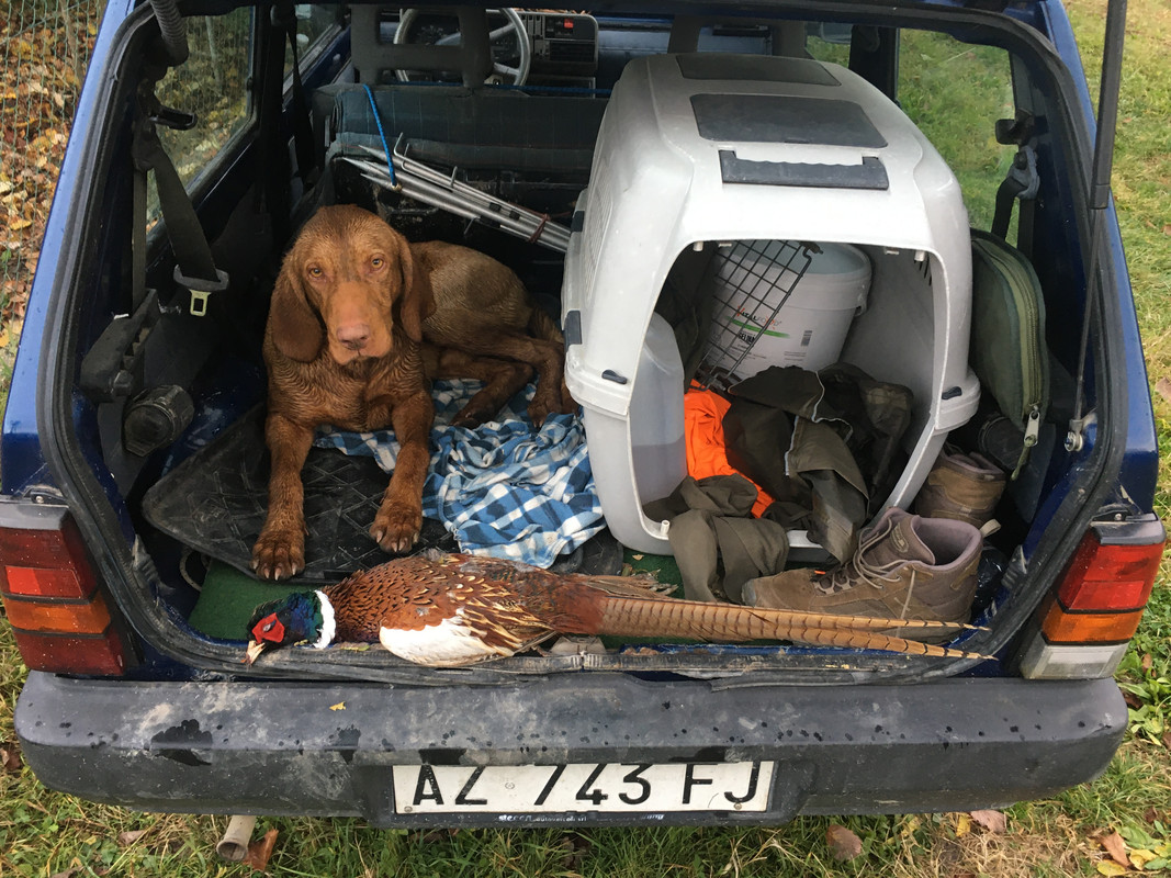 0E4A72F0-99F3-427C-B36B-0BD2C710099D