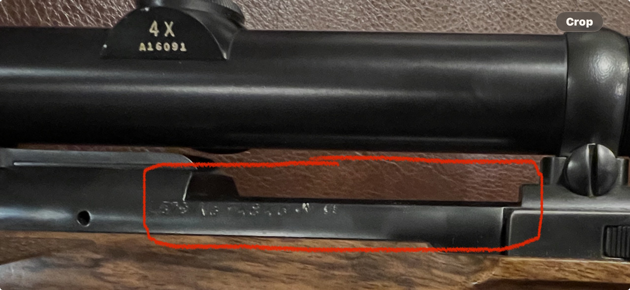 [Linked Image from i.postimg.cc]