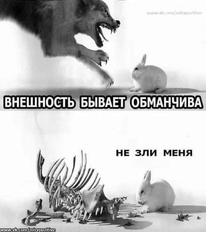d2e5be2e480f5c1d862cace6c542b9a4