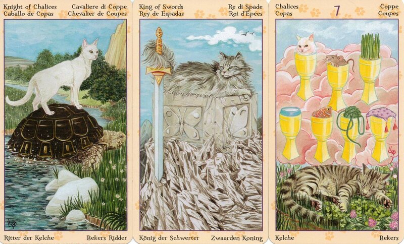 8-pagan-cats-knight-of-chalices-king-of-swords-7-of-chalices