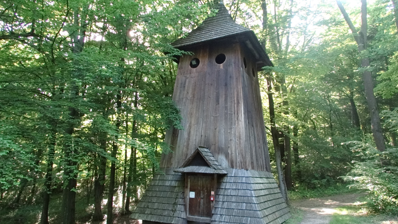 132 - DSC01334 (Milady)