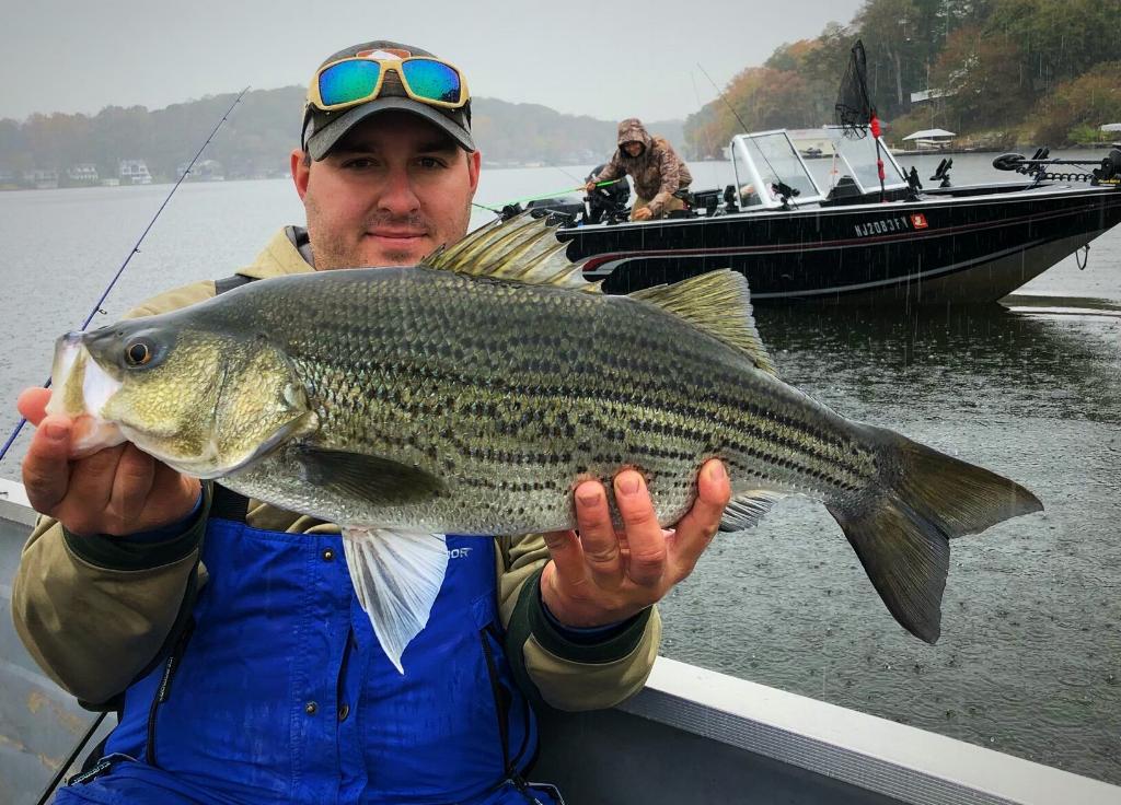 4E4EBF64-DF46-43DF-A8E9-2B76D9264261