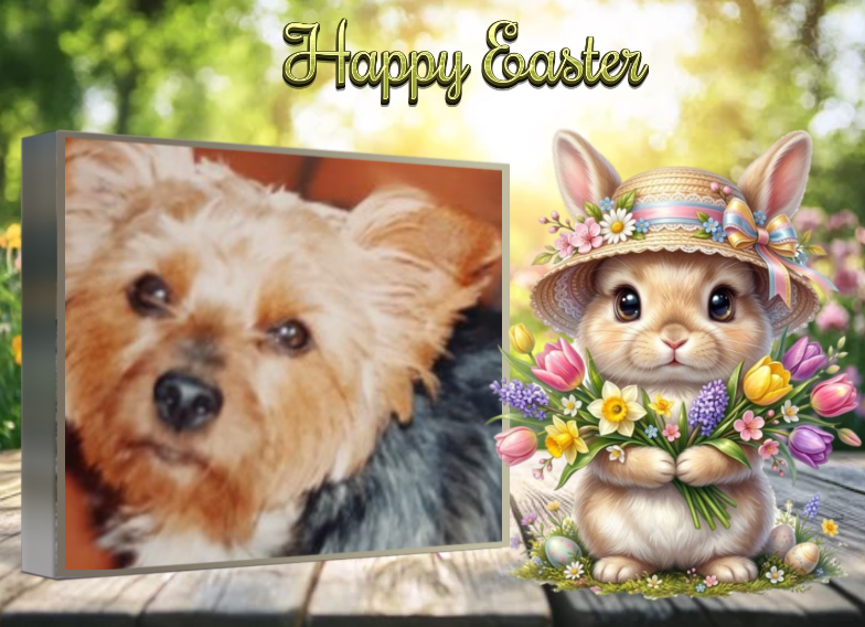 ( a 1 a Pâques Pomme