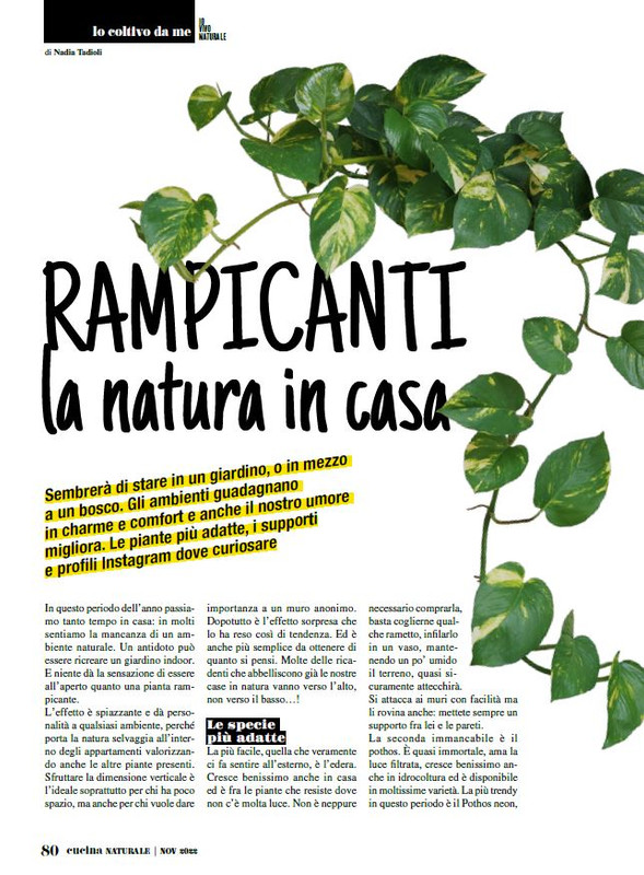 Cucina Nat Nov 2022 (11)