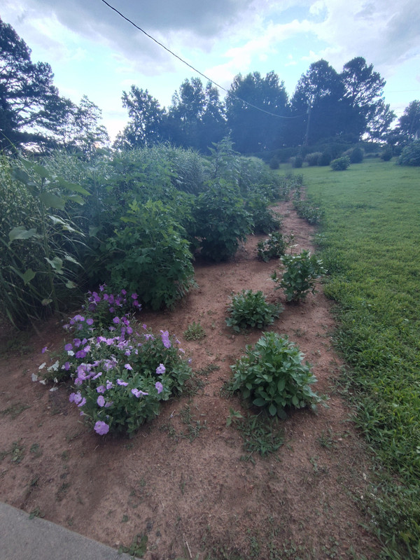 IMG_20250610_173443995_HDR