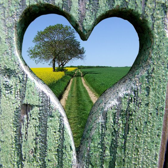 green-heart-fence-new.jpg