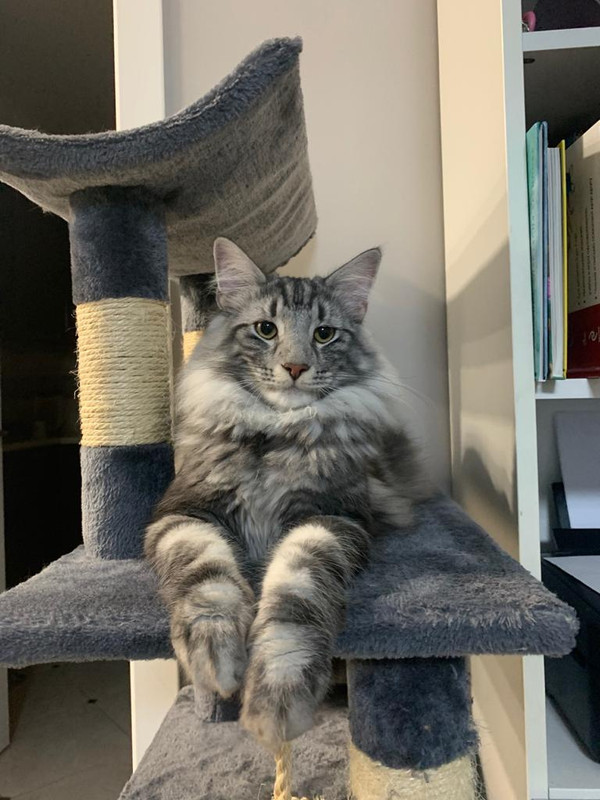 11016D9C-4C07-41F6-AB21-B5B74B357701