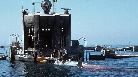 Saffron Burrows , Thomas Jane , dan LL Cool J di Deep Blue Sea (1999)