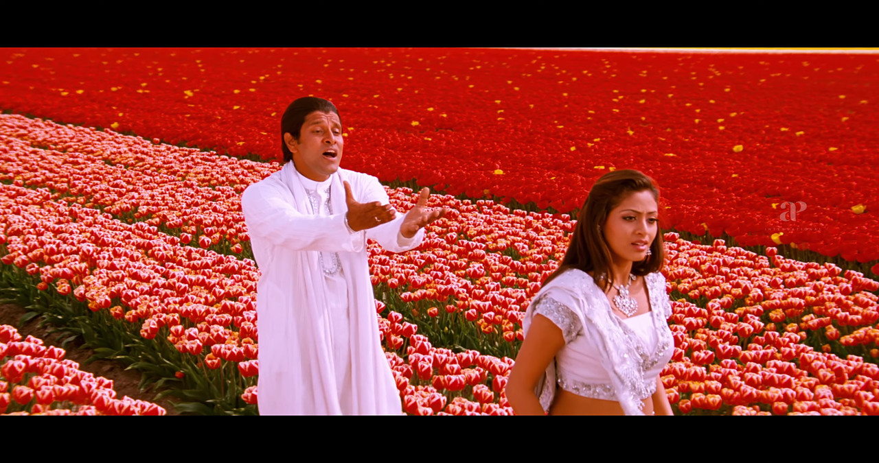 VideoCapture_20241122-195057