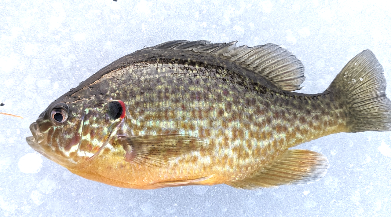 Screenshot 2025 12 07 at 6 09 25 PM