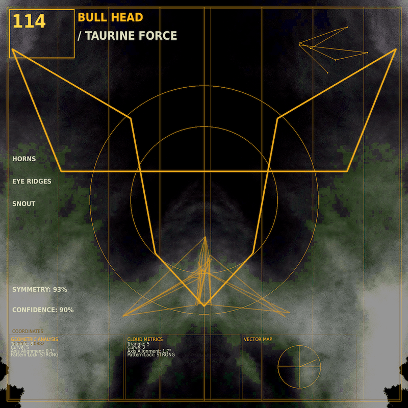 Bull head