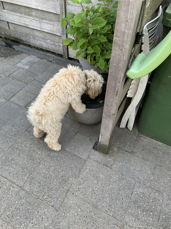 0A6BA5CD-22DB-4B3B-887D-2DD69843AE93