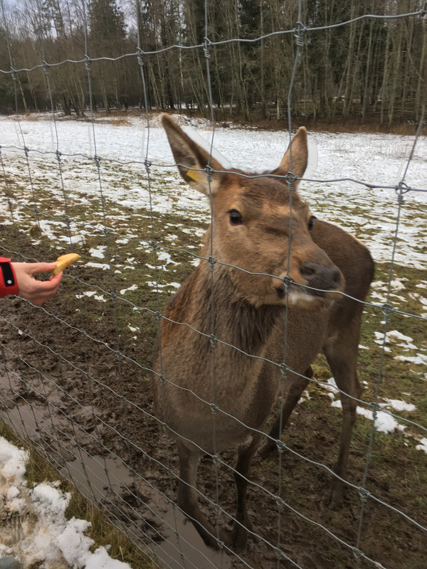 3EB34FC4-3161-48E1-B49D-03DD02F82BE7