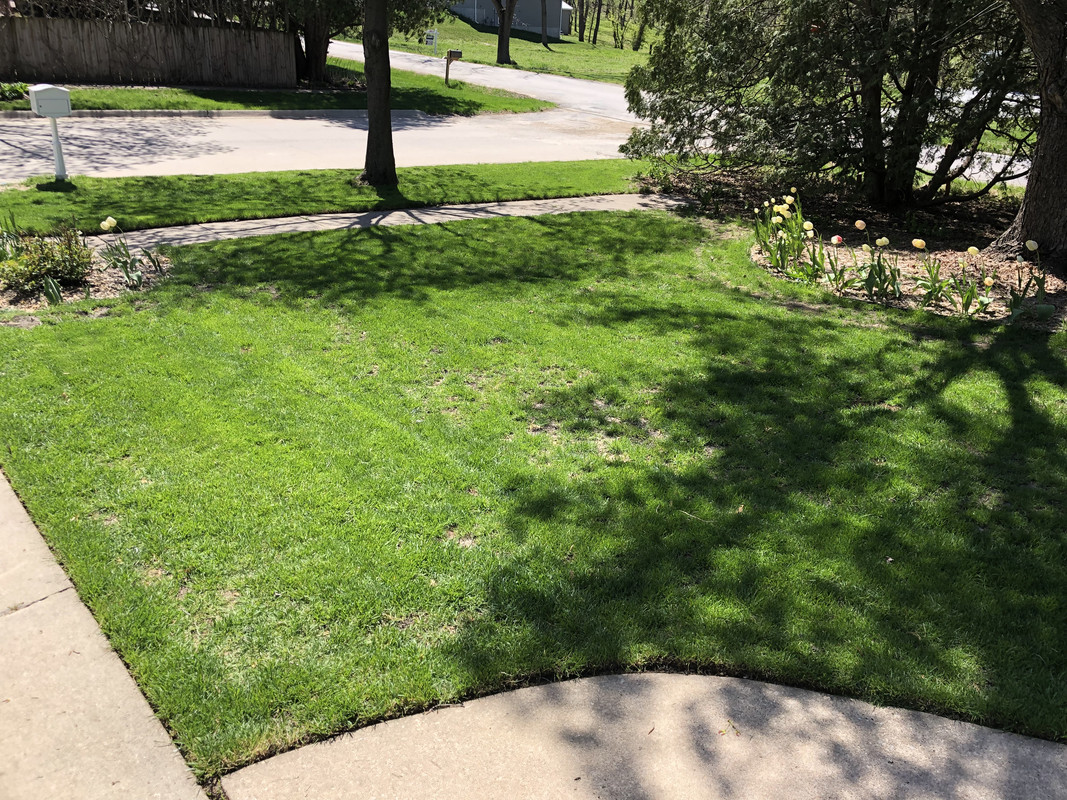 2B685275-C192-4E0E-BA1A-EE236D4EE5CF