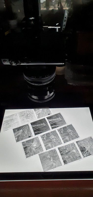 20220307_191718 (606x1280)