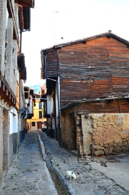 VALVERDE DE LA VERA-14-6-2023-EXTREMADURA - Los pueblos más bonitos de España-2010/2023 (34)