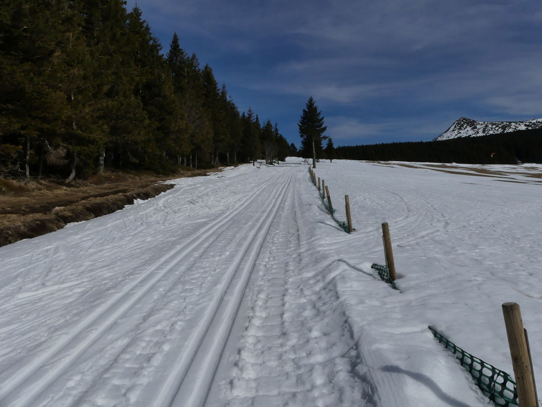 P1100293.jpg
