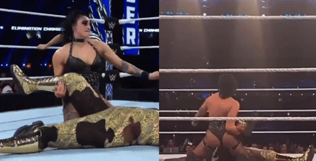 ec24pin.gif