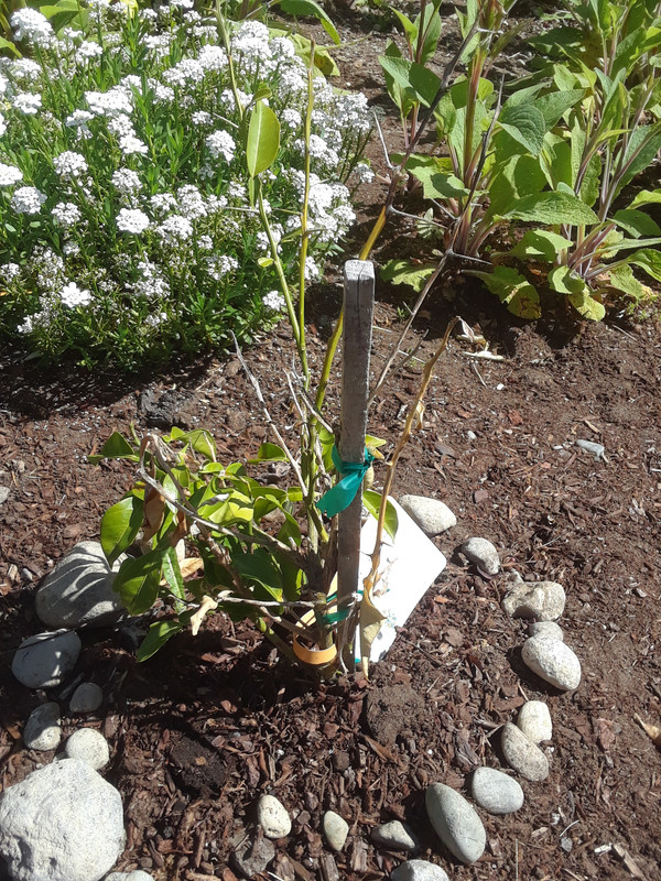 20190506_101404