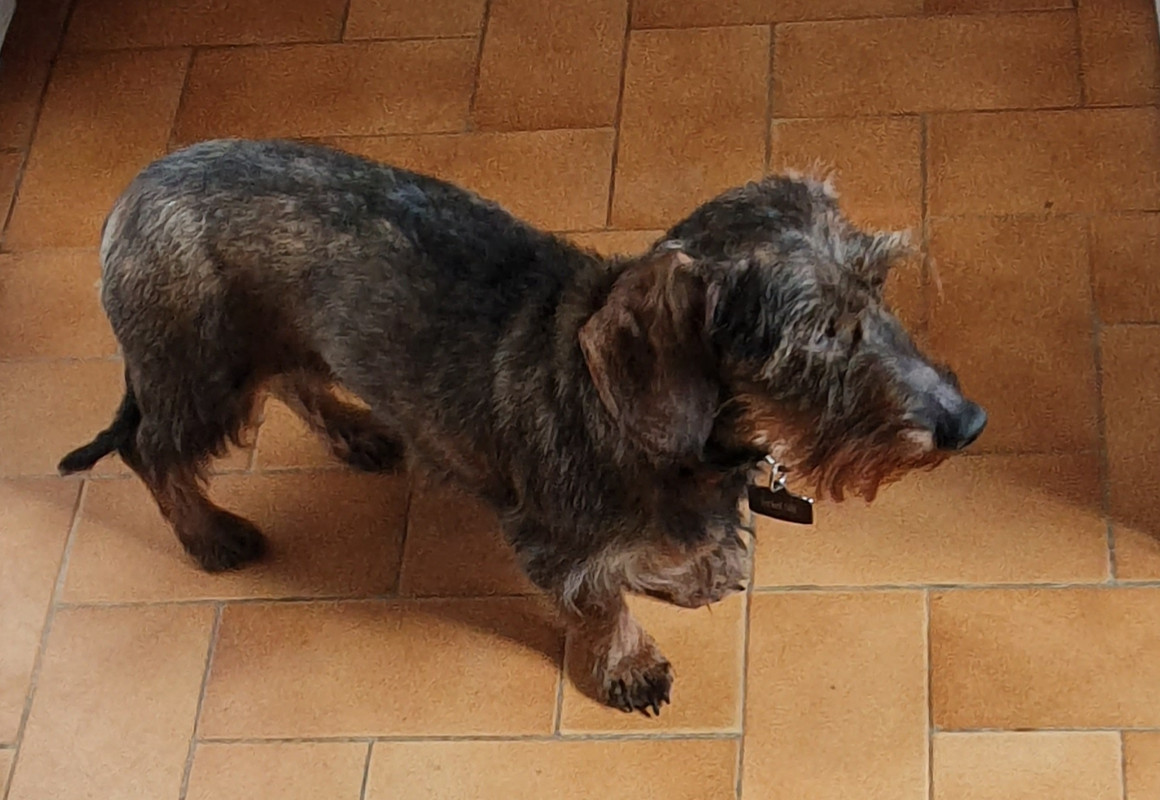 [Image: 20210213-091303.jpg]