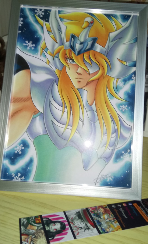 Illustration Hyoga (redimentionné)