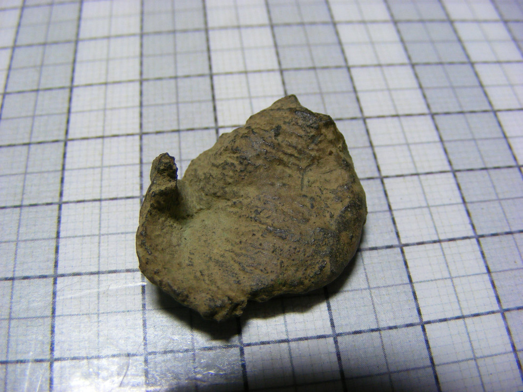 DSCF8410
