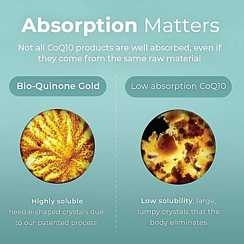 pn bio quinone active coq10 gold 100mg sgels 60s