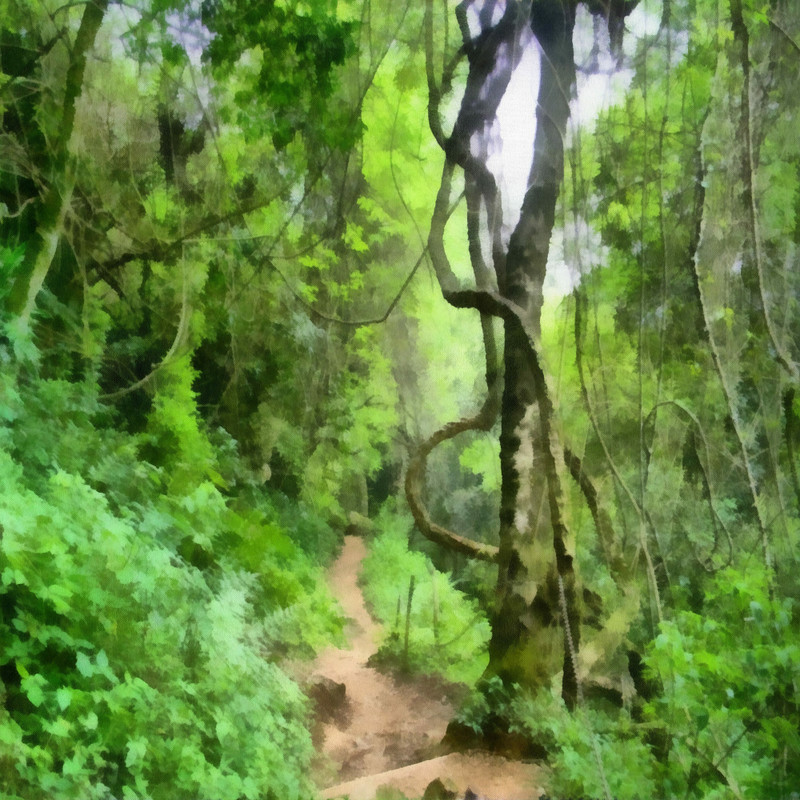 Into The Jungle Papers (17)