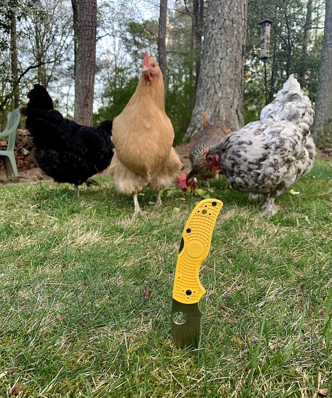 14F11039-C67E-4A7C-BE2A-5C79970A7EDC