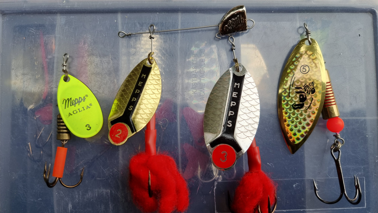 [Slika: 20260130-130921.jpg]