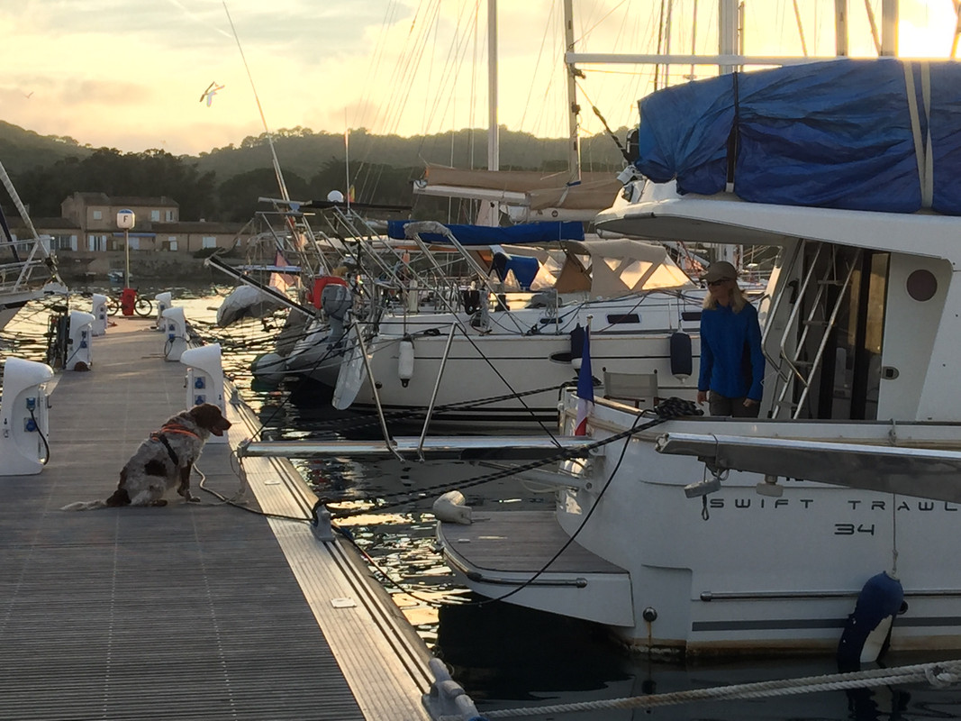 37E681D3-A964-4112-AE30-2C6DB6D65670