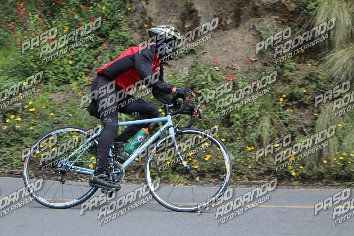 IMG 8465 wm 159804 2000000002 watermarked — Postimages
