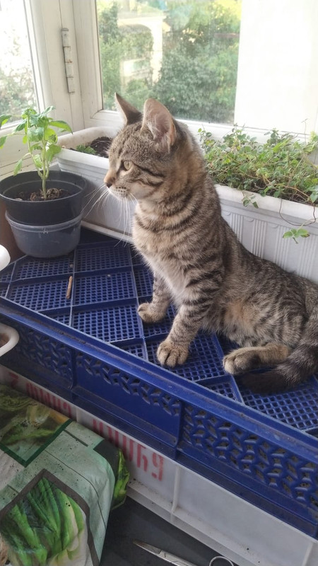 изображение_viber_2022-08-27_18-46-33-753