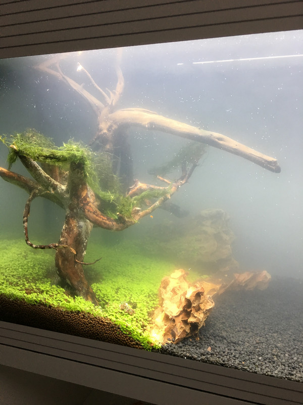 1653EB78-2BF6-43C3-8C96-99BA41234BC4