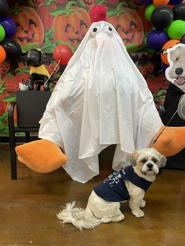 0488688A-EDAE-4973-91A6-0BE6D5945866_1_105_c