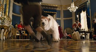 Dolttle.2019.1080p.HDRip.x264.AC3-EVO(Q).mkv_snapshot_01.24.43.3