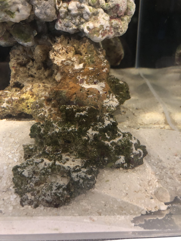 6E8D0864-E591-4CFF-A593-4F6BFFE1BE6C