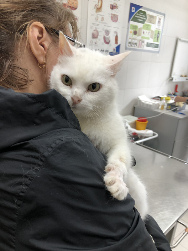 C3AD88CA-F607-4C06-9C2E-E7FD7F0B1791