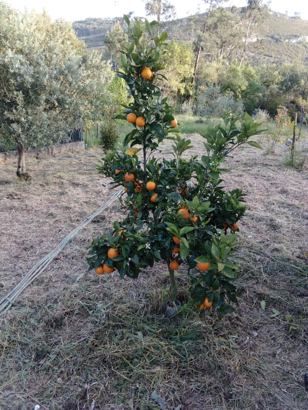 DSC_0166_resized_20190421_092030688