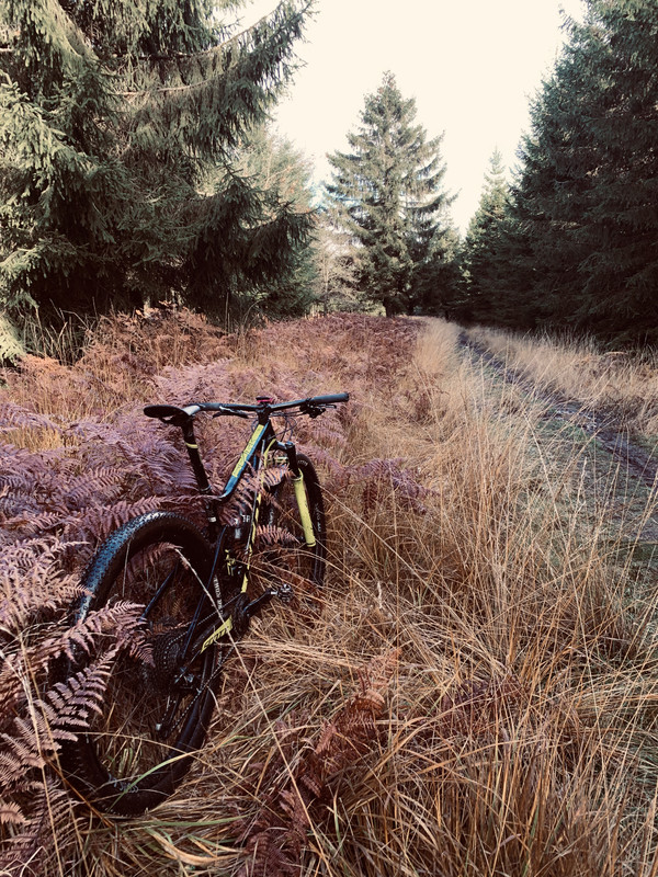 F9EE6B3F-5B36-4BA6-A3D1-B314A4EDD106_1_201_a