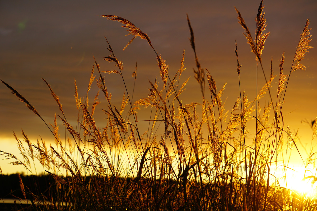 FF1DC60B-E148-465F-8866-2BFB9A4AC0B1