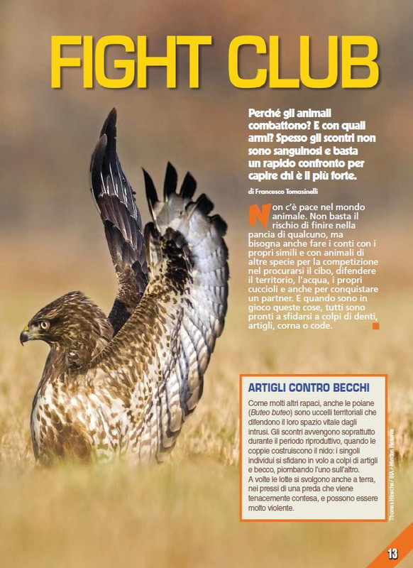 Foc Wil - Giu 2023 (2)