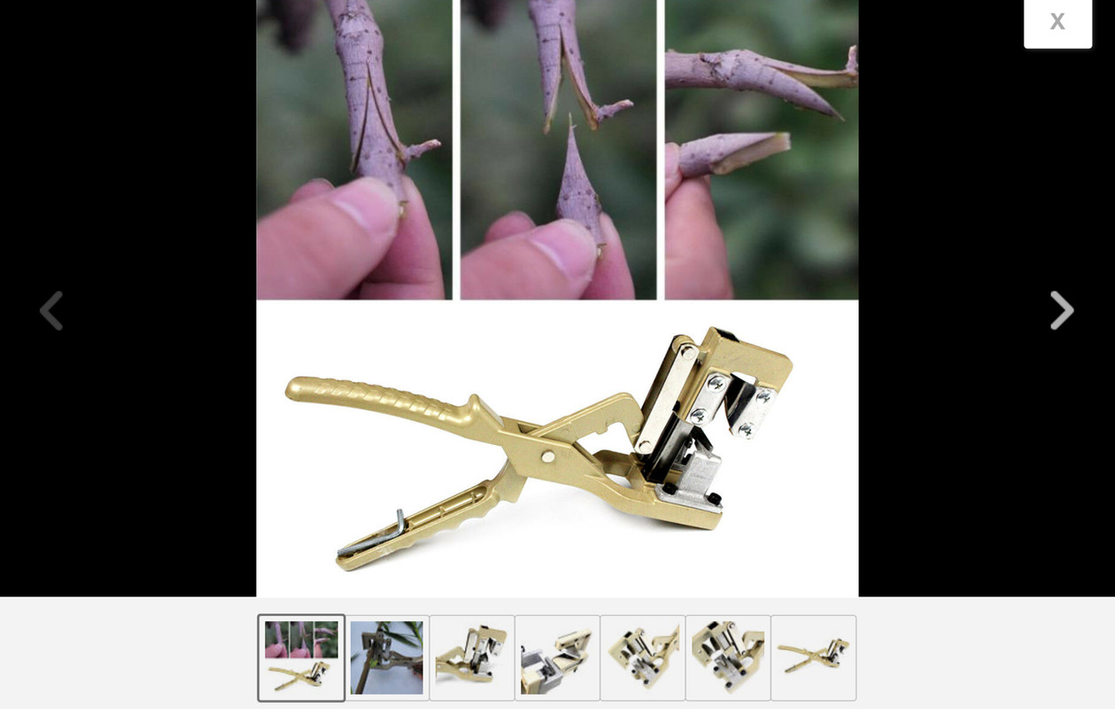 2EC8CB89-2483-4F50-886A-5D2A00461232