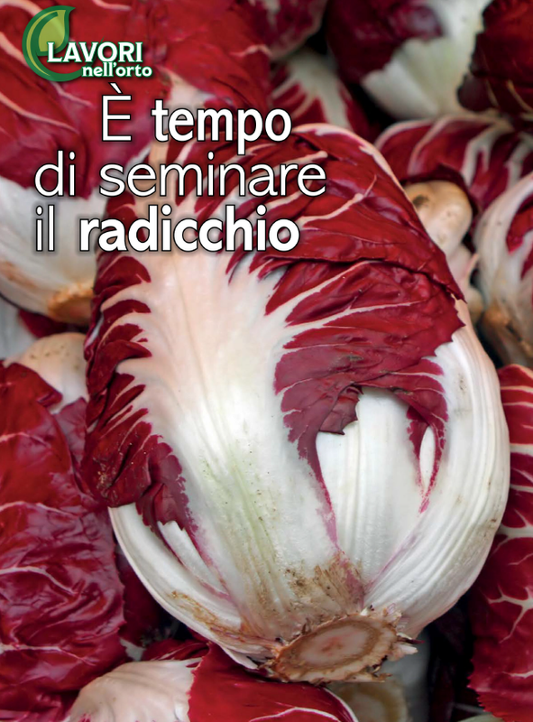 Pass Giar e Orto Lug 2026 (9)
