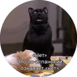 https://i.postimg.cc/fbNrTgm7/Saberhagencat-029.png
