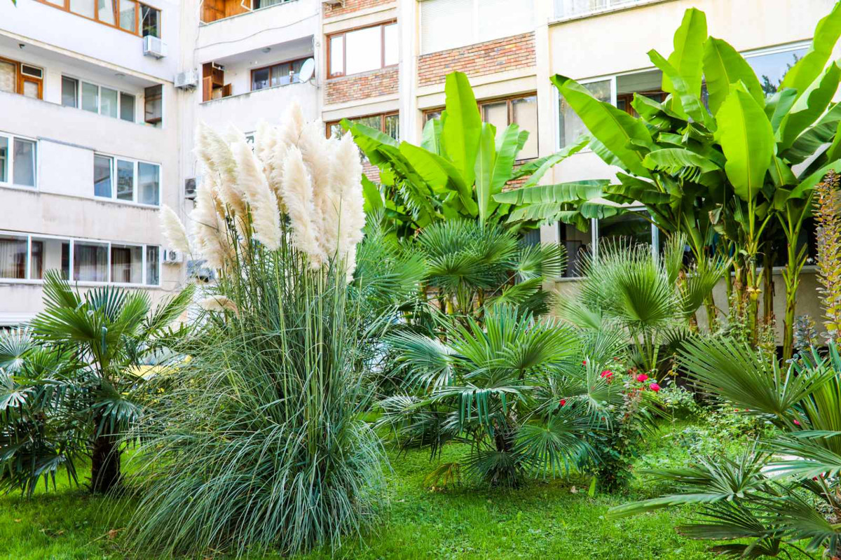 IMG-852859a8aef7b8ab241658609e8c9d8a-V